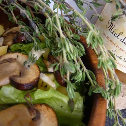 Paddenstoelensalade met kaas en honing-tijm dressing