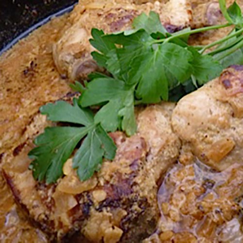 Kip Tandoori