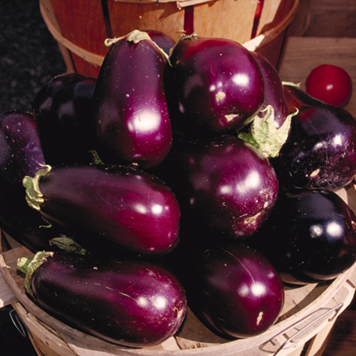 Tapenade van aubergine