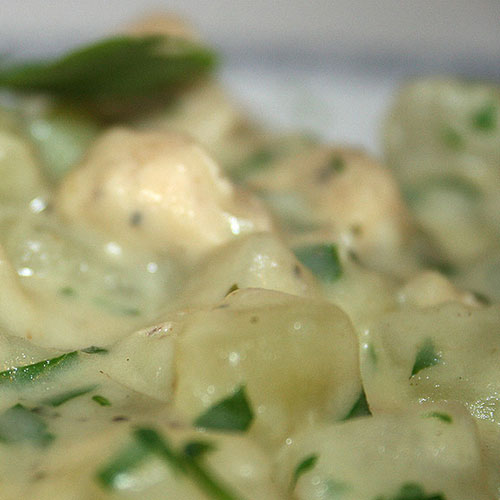 Kruidenkaasragout